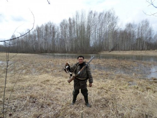 гоголь