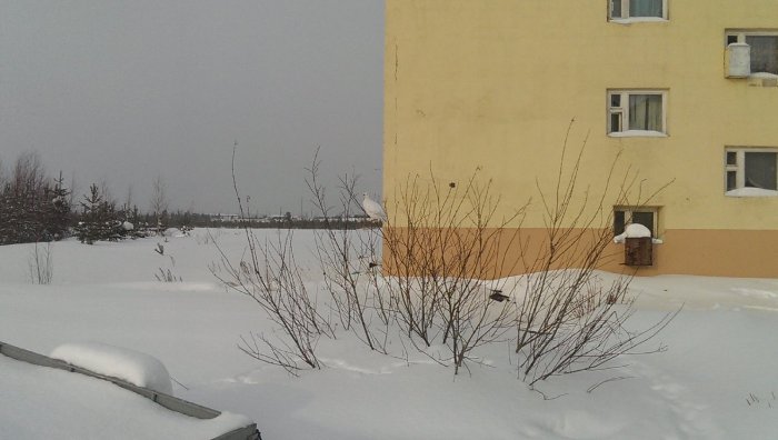 У дома