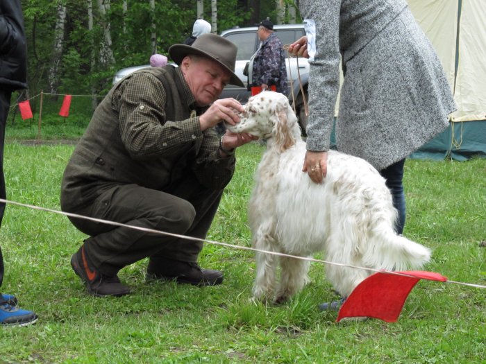 С выставки 24.05.2014