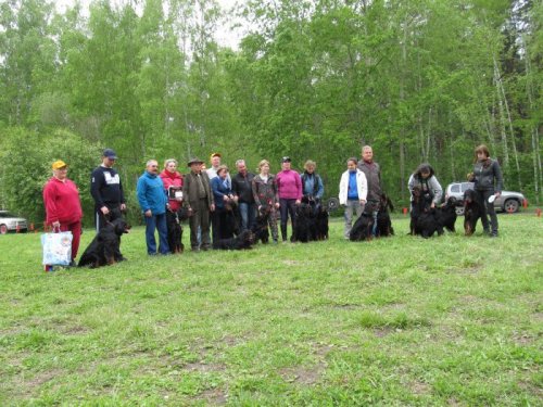С выставки 24.05.2014