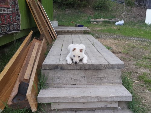 ЮТА