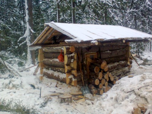 изба