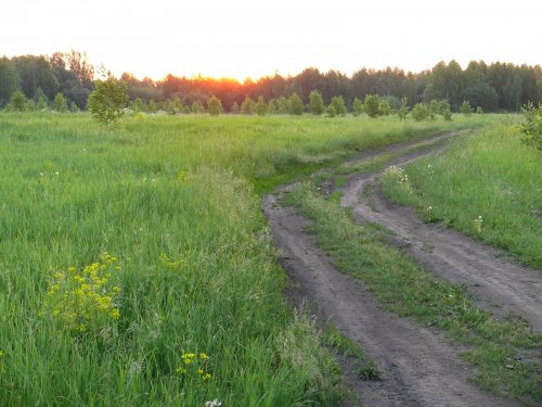 Первые лучи,хронология одного утра
