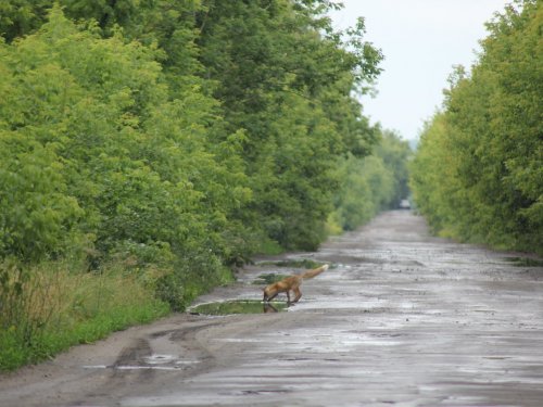 По фиг все!