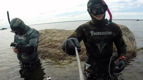 подводная охота