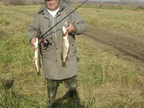 Осень, в перерыве между зорьками