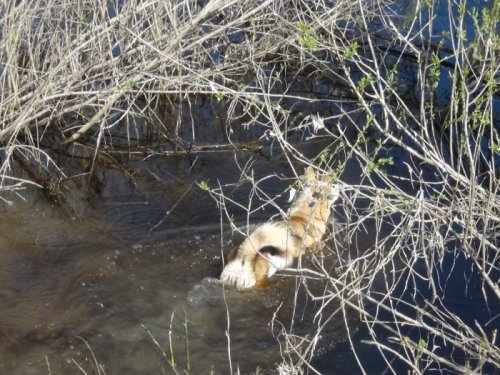 Водные процедуры.