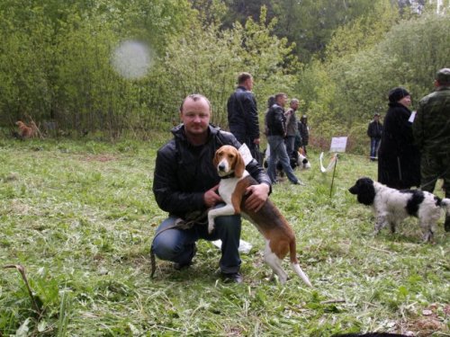 Выставка. Погода подвела.