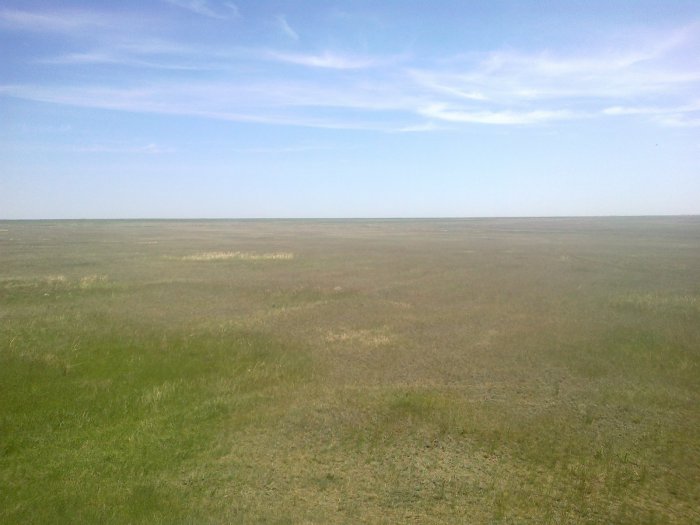 Степь