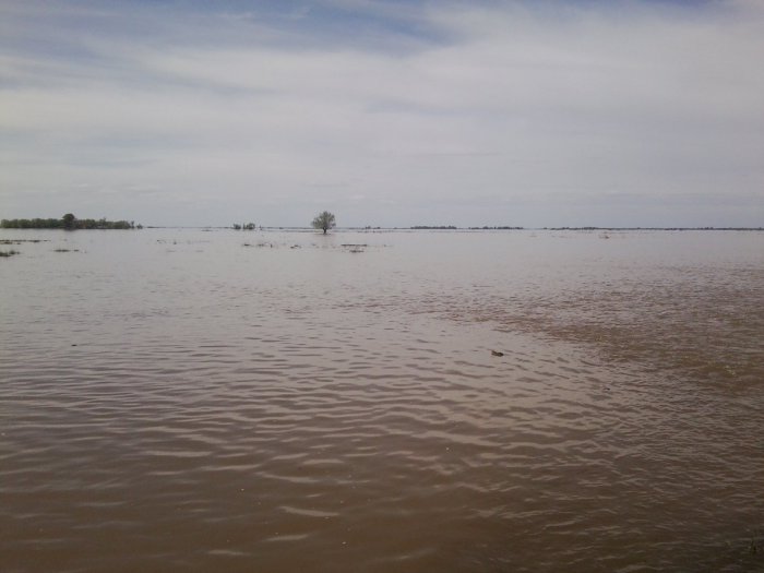 раскинулось море...