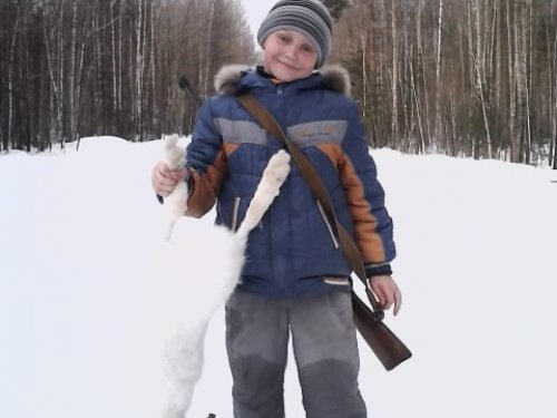 Добыли зайку
