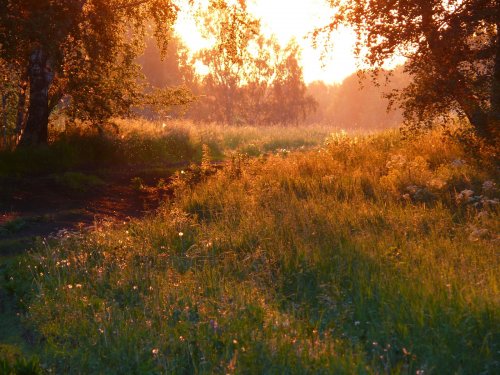 Лето красное,хронология одного утра