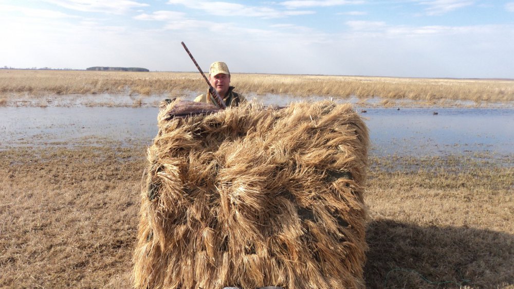 весенняя 2014