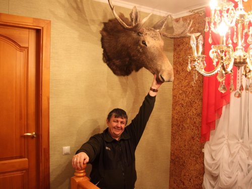 хороший бычок