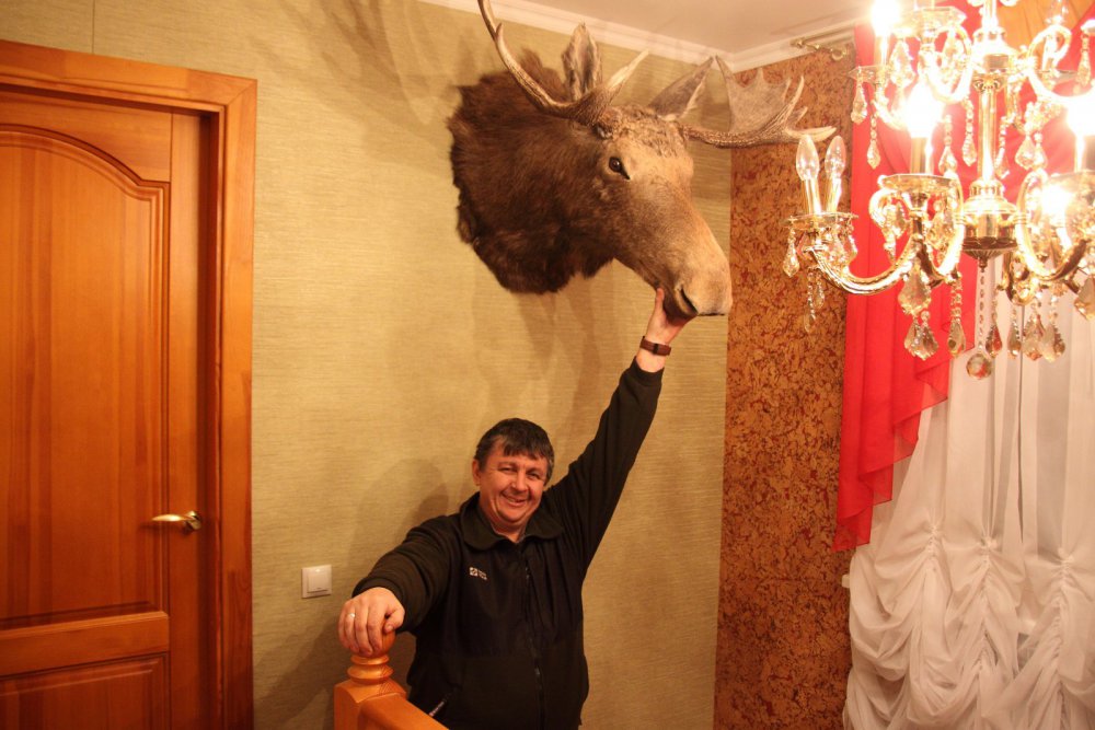 хороший бычок