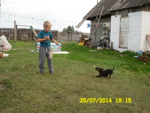 Детские игры