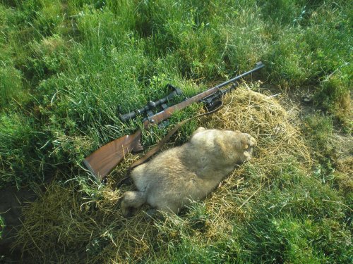 Сбылась мечта ... не большая!!!