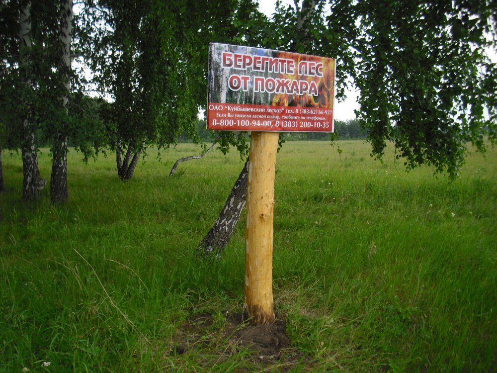 И аншлаги,чтобы не жгли лес.