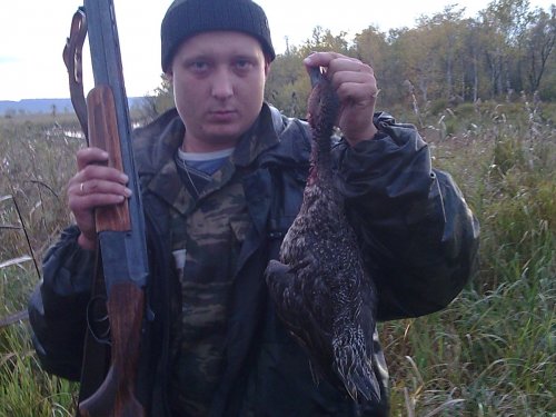 2008год.