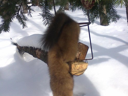 тот же