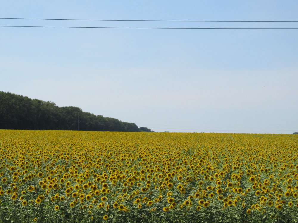 Море солнца