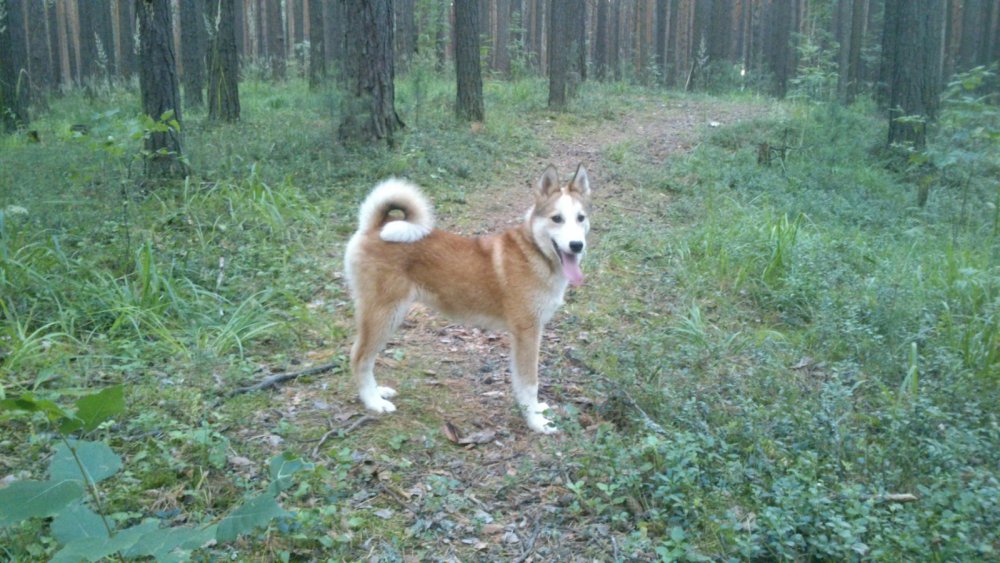 на прогулке