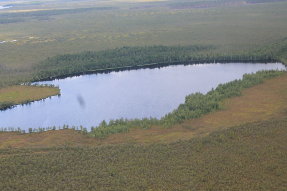 Красоты 2