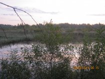 Image description