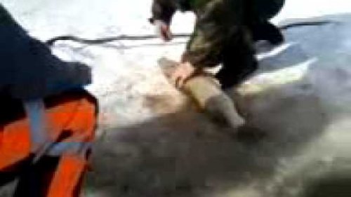 Щука на 36 кило!!!!