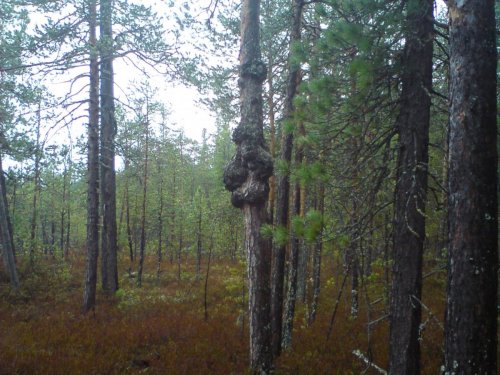 тоже самое