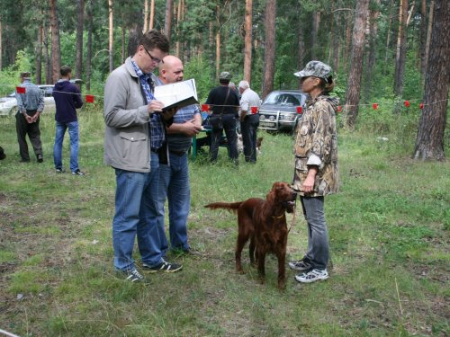 Барнаульская городская выставка охотничьих собак 02,08,2014
