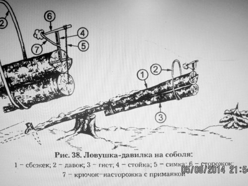 Соболятникам на заметку