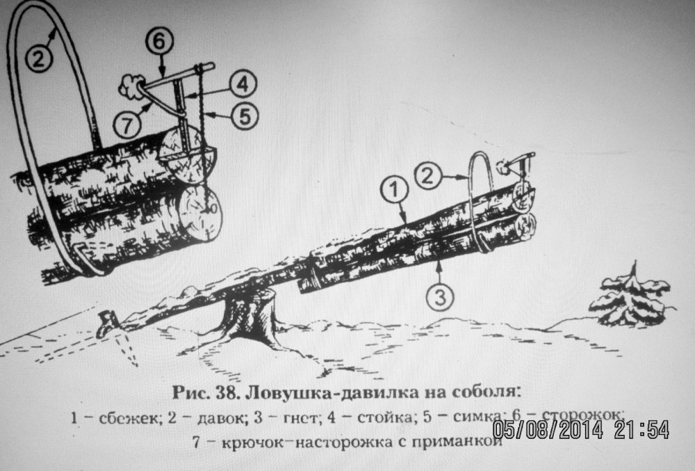 Соболятникам на заметку