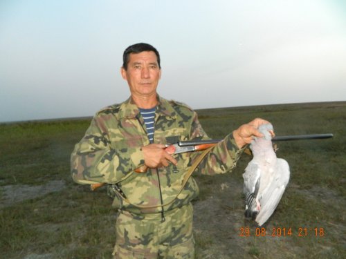 Меткий выстрел.