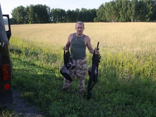 Отстрел серой!