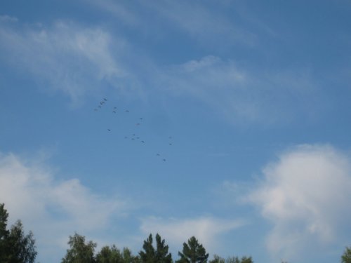 Открытие в Завьяловском районе 30.08.2014г.