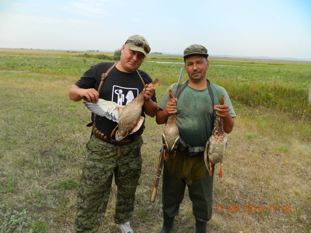 вторая утренняя зорька