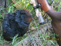 Image description