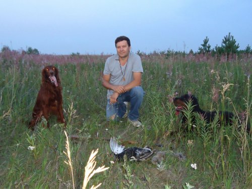 Вот и дождались мы открытия по перу