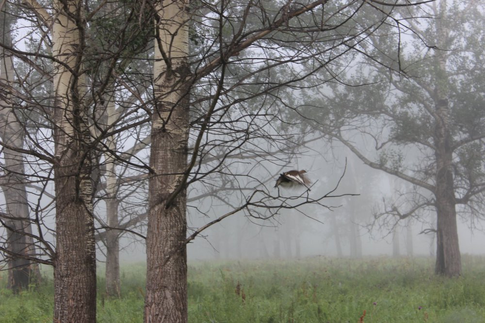 Возращались с рыбалки 2