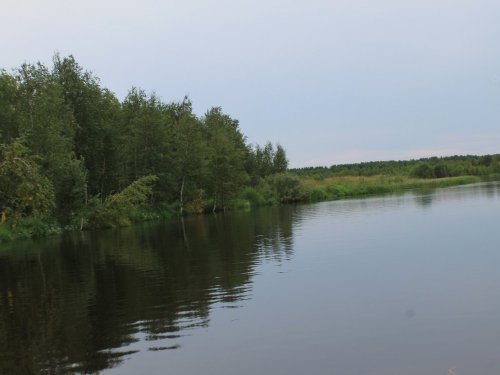 Согом