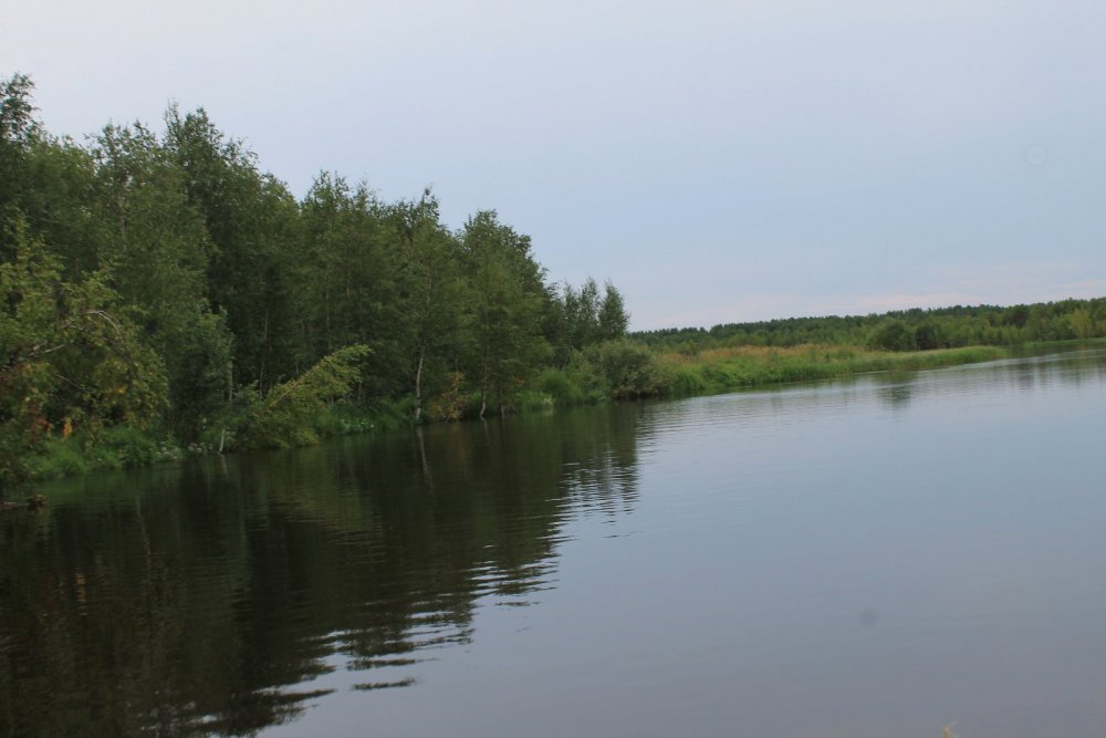 Согом
