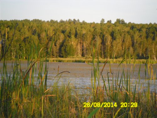 вечерняя зорька