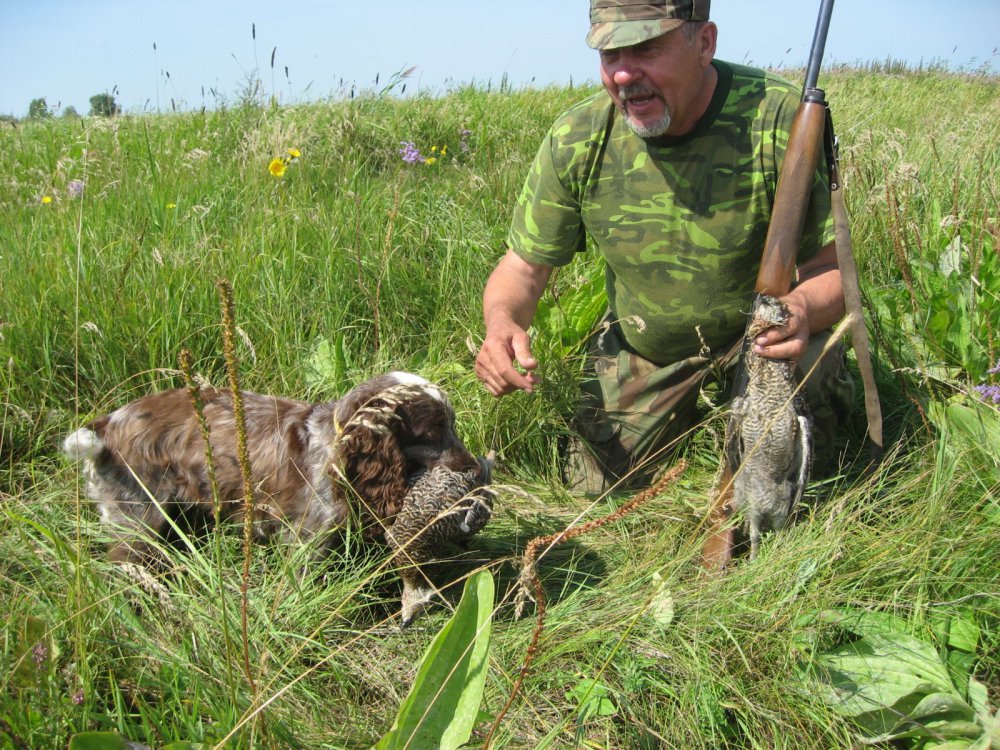 напарники