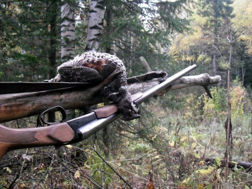 Пробежался с ружьишком по лесу.