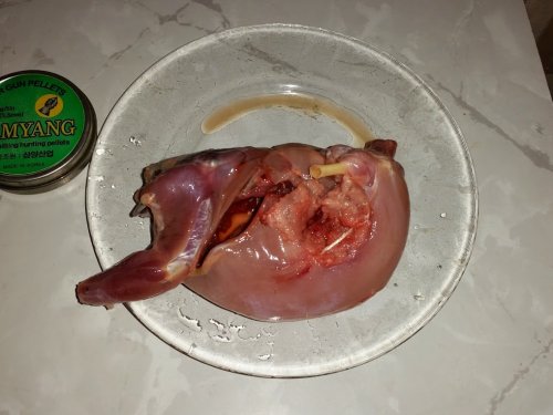Пневма