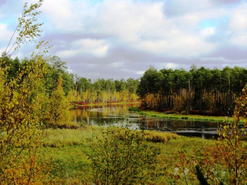Краски осени.