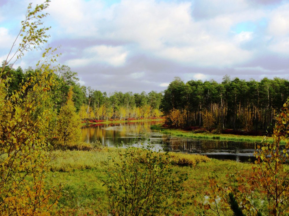 Краски осени.