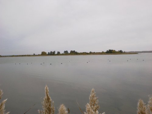 алтайский край 27-28.09