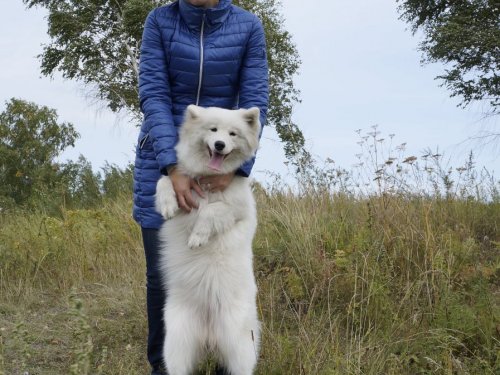 С белым медведем))))